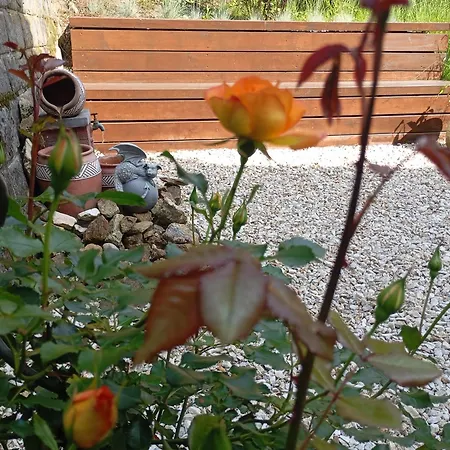 Heimatliebe